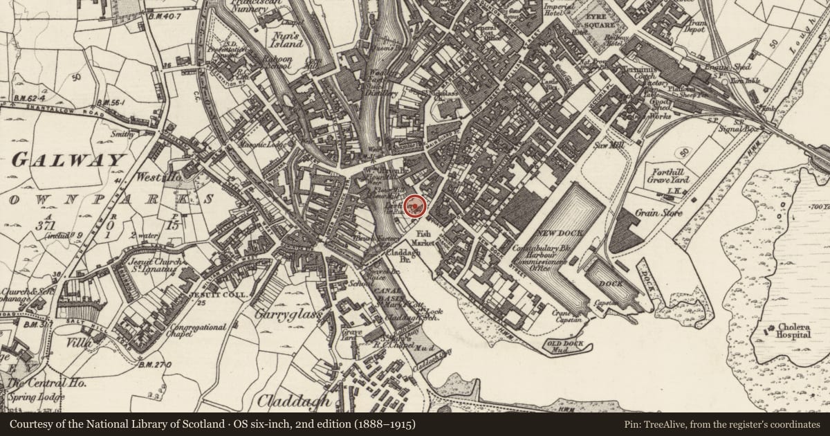 Ordnance Survey six-inch map, 2nd edition (1888–1915) covering the location of Water mill - unclassified, Townparks (Galway By., St. Nicholas Par.), County Galway, with a pin at the register's coordinates