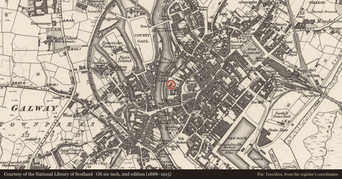 Ordnance Survey six-inch map, 2nd edition (1888–1915) covering the location of Water mill - unclassified, Townparks (Galway By., St. Nicholas Par.), County Galway, with a pin at the register's coordinates