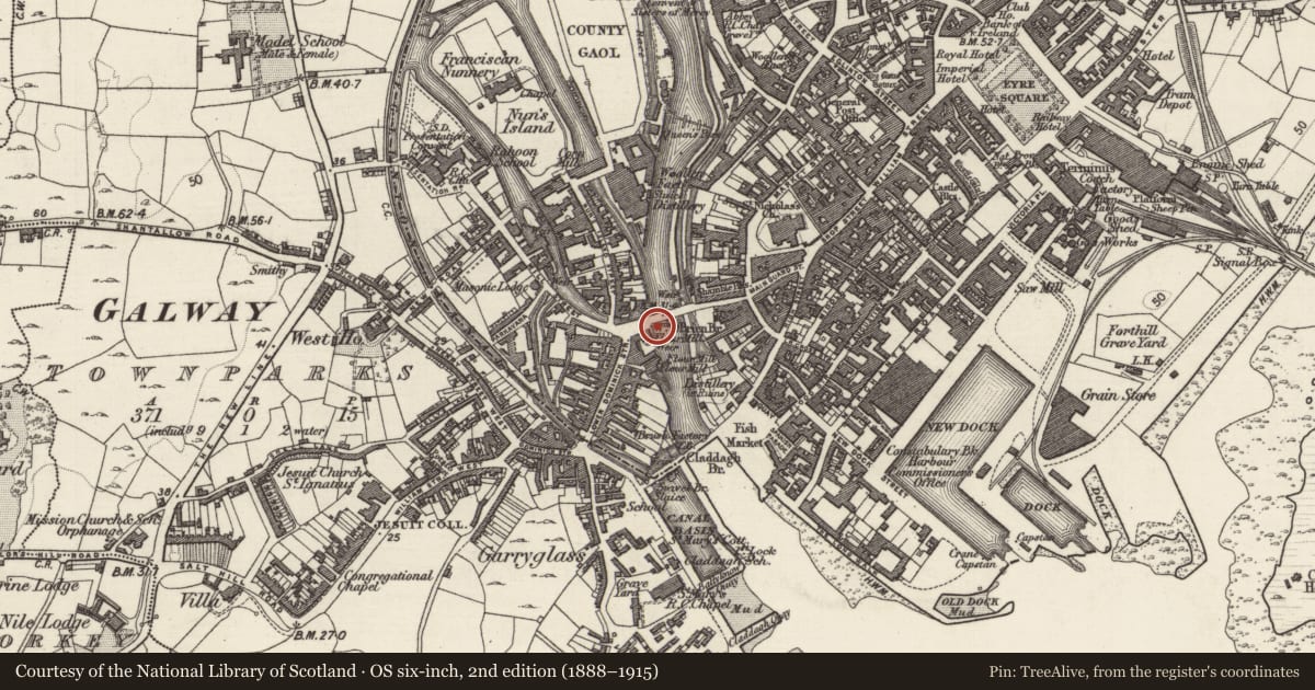 Ordnance Survey six-inch map, 2nd edition (1888–1915) covering the location of Water mill - unclassified, Townparks (Galway By., St. Nicholas Par.), County Galway, with a pin at the register's coordinates