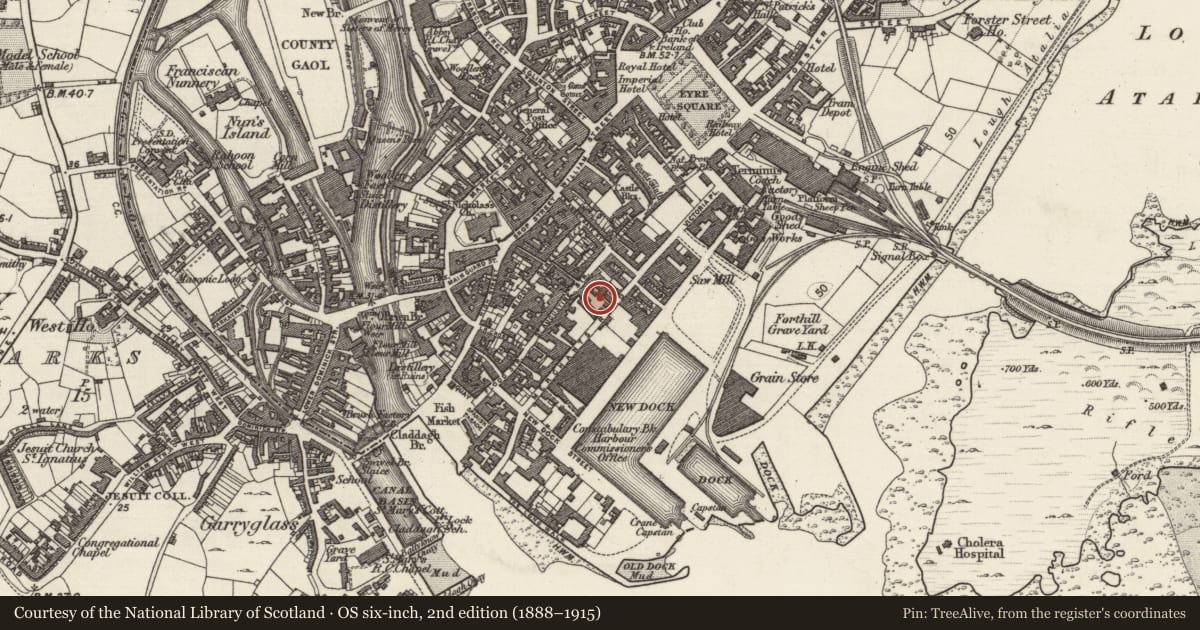 Ordnance Survey six-inch map, 2nd edition (1888–1915) covering the location of Dovecote, Townparks (Galway By., St. Nicholas Par.), County Galway, with a pin at the register's coordinates