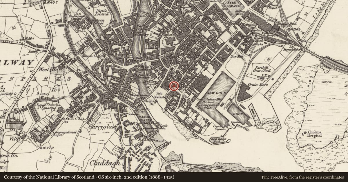 Ordnance Survey six-inch map, 2nd edition (1888–1915) covering the location of Ritual site - holy well, Townparks (Galway By., St. Nicholas Par.), County Galway, with a pin at the register's coordinates