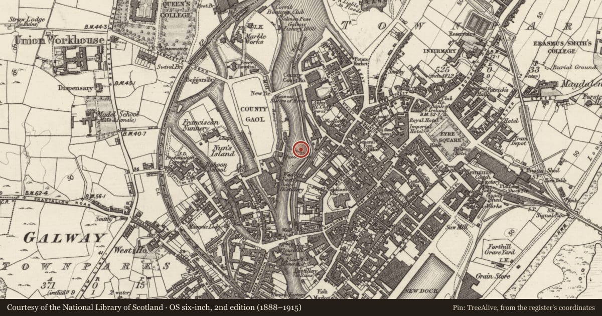 Ordnance Survey six-inch map, 2nd edition (1888–1915) covering the location of Weir - regulating, Townparks (Galway By., St. Nicholas Par.), County Galway, with a pin at the register's coordinates