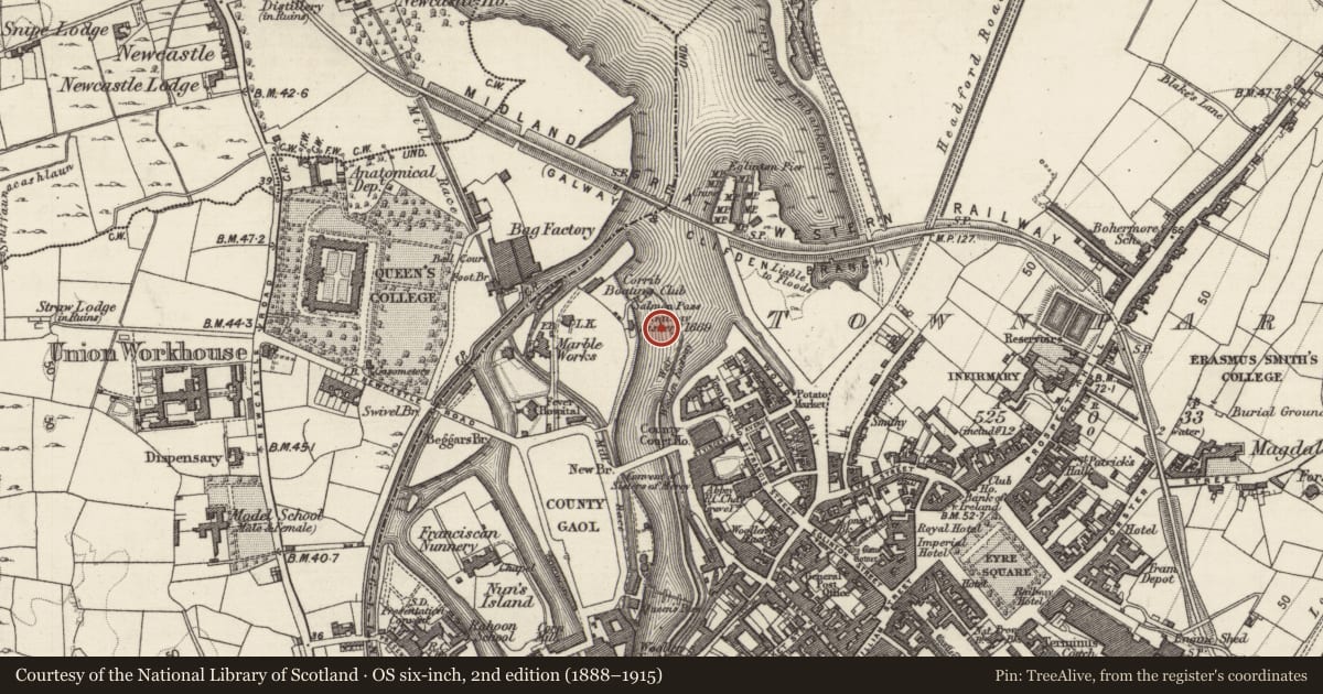 Ordnance Survey six-inch map, 2nd edition (1888–1915) covering the location of Weir - regulating, Townparks (Galway By., St. Nicholas Par.), County Galway, with a pin at the register's coordinates
