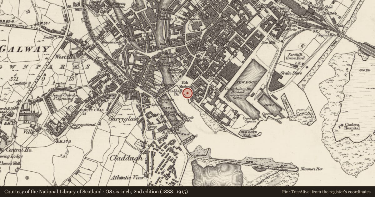 Ordnance Survey six-inch map, 2nd edition (1888–1915) covering the location of Quay, Townparks (Galway By., St. Nicholas Par.), County Galway, with a pin at the register's coordinates