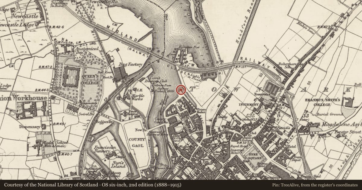 Ordnance Survey six-inch map, 2nd edition (1888–1915) covering the location of Quay, Townparks (Galway By., St. Nicholas Par.), County Galway, with a pin at the register's coordinates