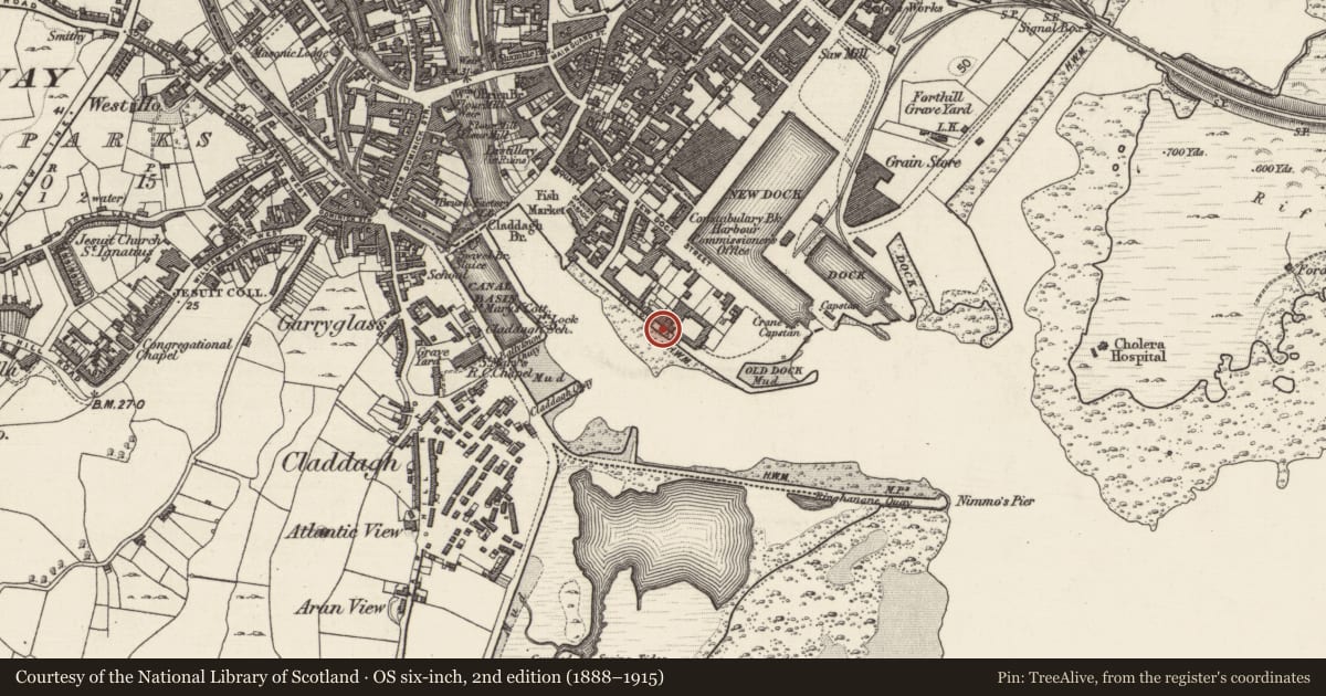 Ordnance Survey six-inch map, 2nd edition (1888–1915) covering the location of Pier/Jetty, Townparks (Galway By., St. Nicholas Par.), County Galway, with a pin at the register's coordinates
