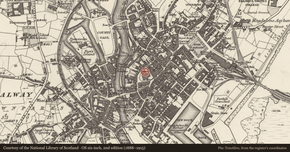 Ordnance Survey six-inch map, 2nd edition (1888–1915) covering the location of Architectural fragment, Townparks (Galway By., St. Nicholas Par.), County Galway, with a pin at the register's coordinates
