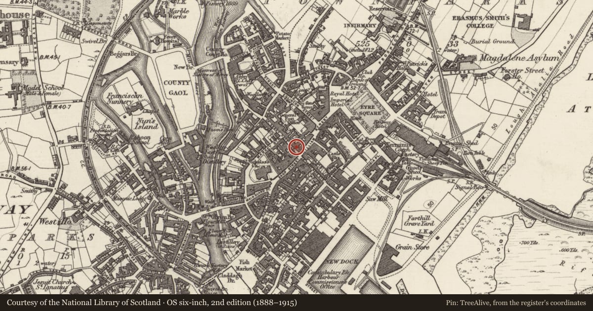 Ordnance Survey six-inch map, 2nd edition (1888–1915) covering the location of House - 16th/17th century, Townparks (Galway By., St. Nicholas Par.), County Galway, with a pin at the register's coordinates