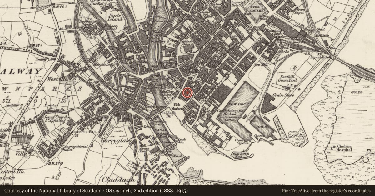 Ordnance Survey six-inch map, 2nd edition (1888–1915) covering the location of Kiln - lime, Townparks (Galway By., St. Nicholas Par.), County Galway, with a pin at the register's coordinates