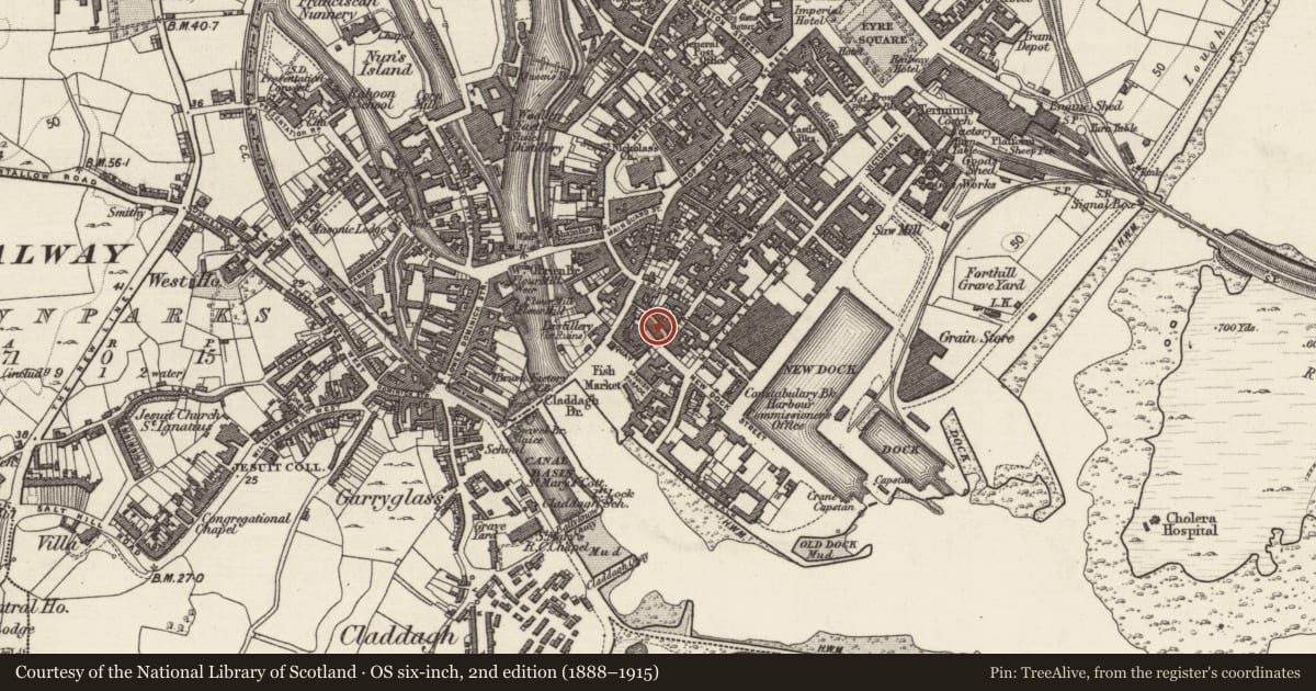 Ordnance Survey six-inch map, 2nd edition (1888–1915) covering the location of Metalworking site, Townparks (Galway By., St. Nicholas Par.), County Galway, with a pin at the register's coordinates