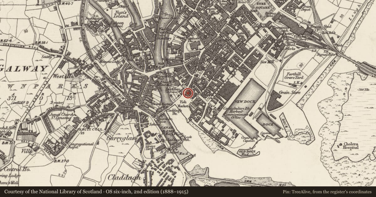 Ordnance Survey six-inch map, 2nd edition (1888–1915) covering the location of Fortification, Townparks (Galway By., St. Nicholas Par.), County Galway, with a pin at the register's coordinates