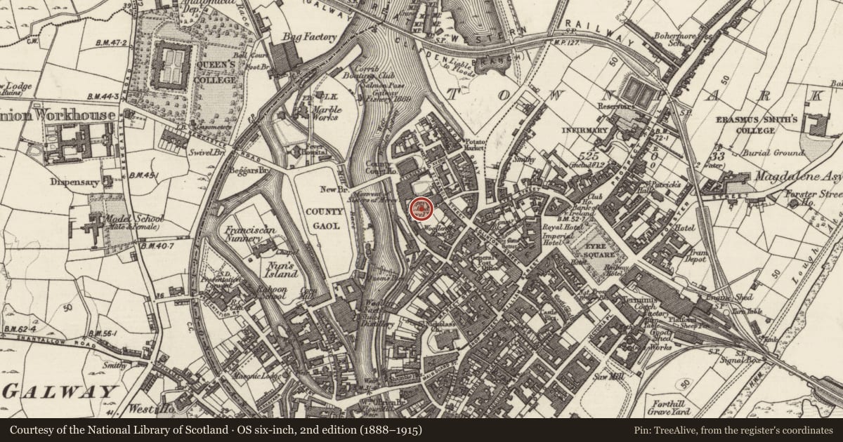 Ordnance Survey six-inch map, 2nd edition (1888–1915) covering the location of Graveyard, Townparks (Galway By., St. Nicholas Par.), County Galway, with a pin at the register's coordinates
