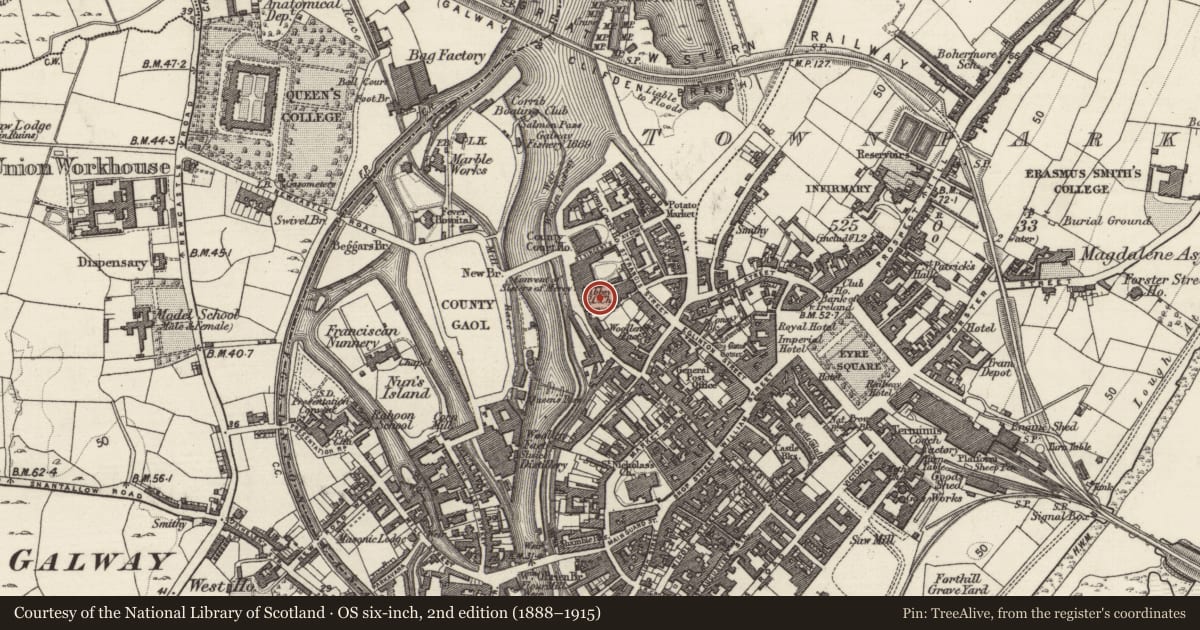 Ordnance Survey six-inch map, 2nd edition (1888–1915) covering the location of Graveslab, Townparks (Galway By., St. Nicholas Par.), County Galway, with a pin at the register's coordinates
