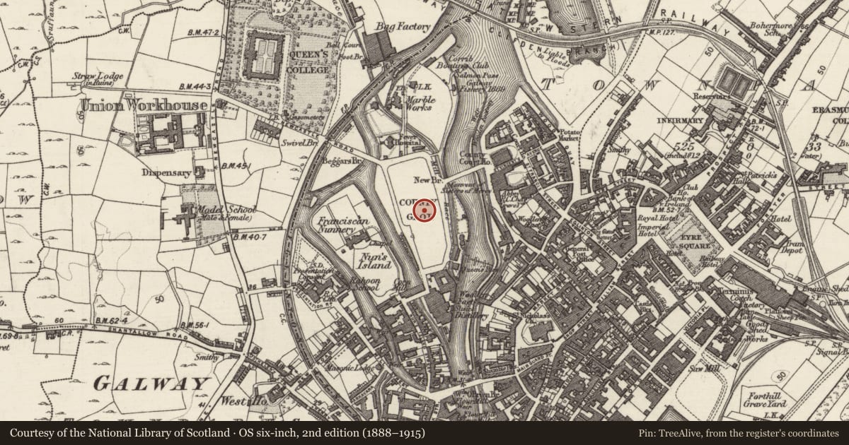 Ordnance Survey six-inch map, 2nd edition (1888–1915) covering the location of Prison, Townparks (Galway By., St. Nicholas Par.), County Galway, with a pin at the register's coordinates