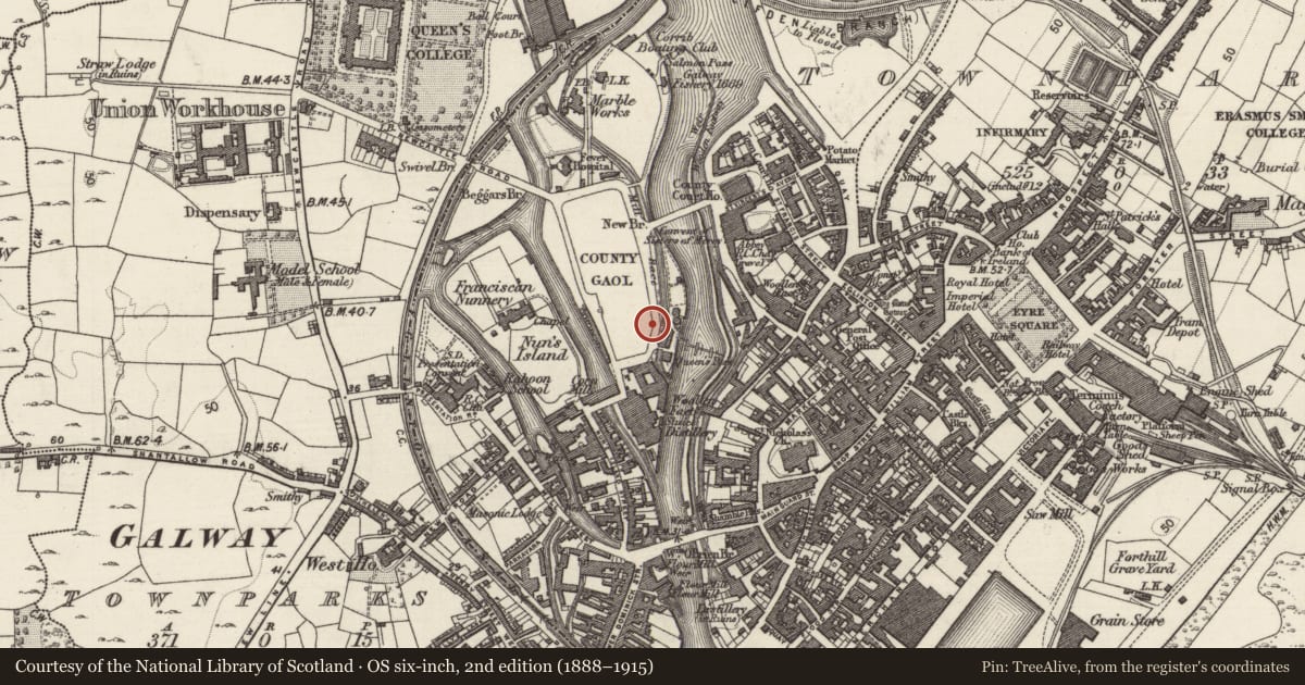 Ordnance Survey six-inch map, 2nd edition (1888–1915) covering the location of Mill - unclassified, Townparks (Galway By., St. Nicholas Par.), County Galway, with a pin at the register's coordinates