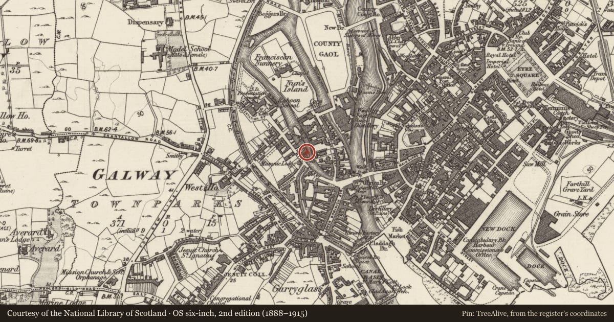 Ordnance Survey six-inch map, 2nd edition (1888–1915) covering the location of Mill - unclassified, Townparks (Galway By., St. Nicholas Par.), County Galway, with a pin at the register's coordinates