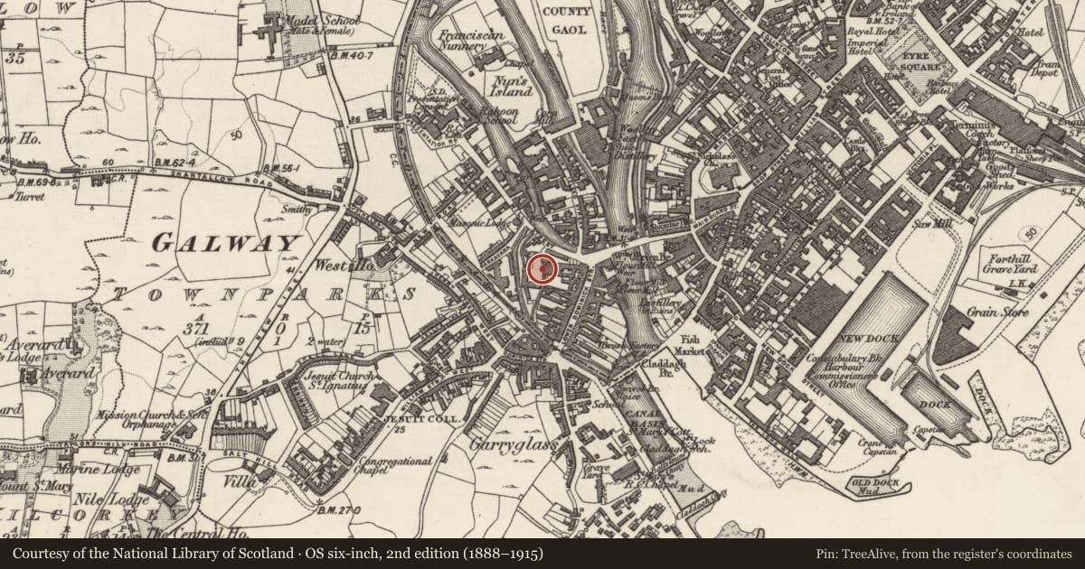 Ordnance Survey six-inch map, 2nd edition (1888–1915) covering the location of Mill - unclassified, Townparks (Galway By., St. Nicholas Par.), County Galway, with a pin at the register's coordinates