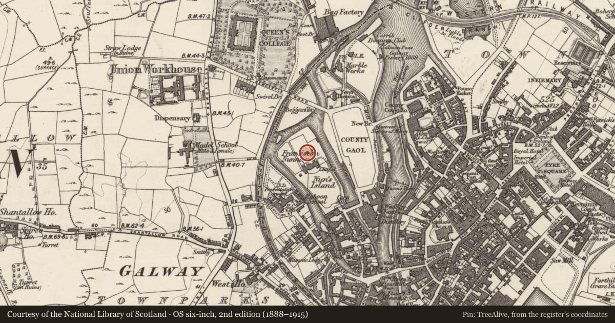Ordnance Survey six-inch map, 2nd edition (1888–1915) covering the location of Religious house - Franciscan nuns (Poor Clares), Townparks (Galway By., St. Nicholas Par.), County Galway, with a pin at the register's coordinates