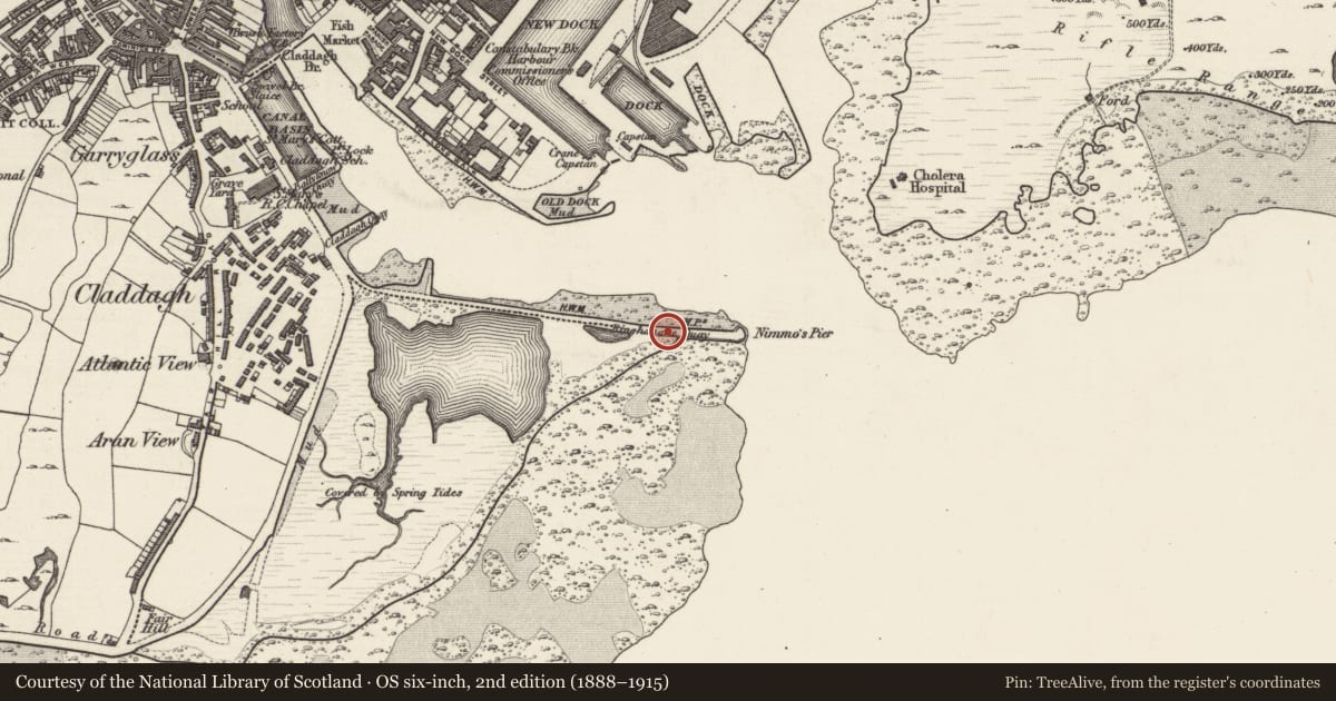 Ordnance Survey six-inch map, 2nd edition (1888–1915) covering the location of Fortification, Townparks (Galway By., Rahoon Par.), County Galway, with a pin at the register's coordinates