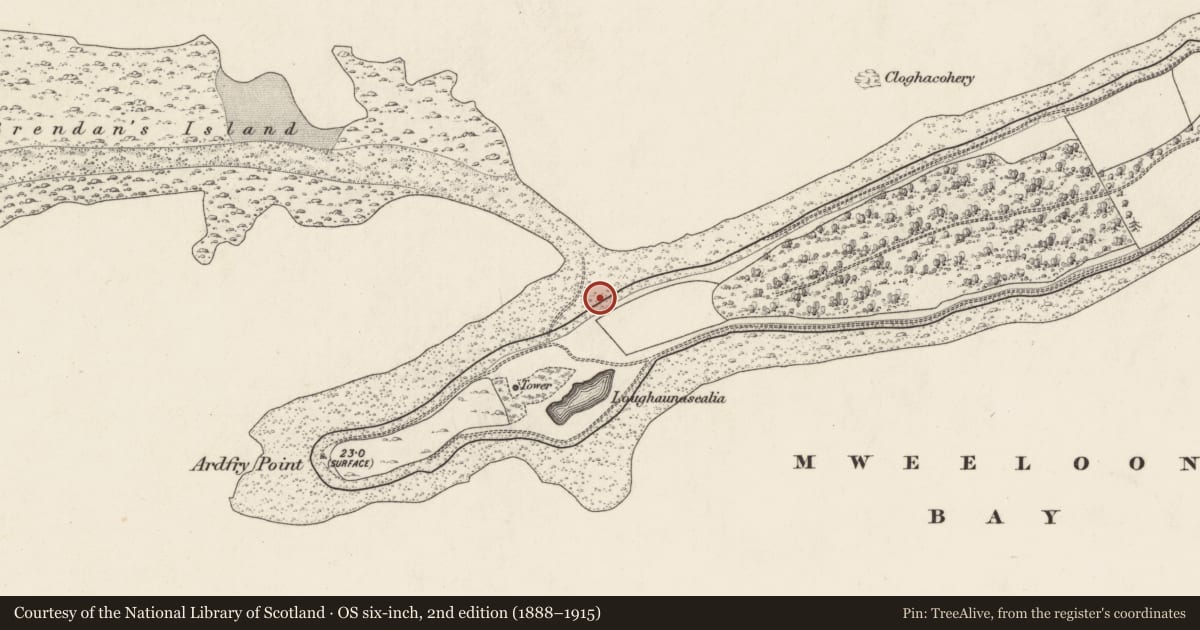 Ordnance Survey six-inch map, 2nd edition (1888–1915) covering the location of Midden, Ardfry, County Galway, with a pin at the register's coordinates