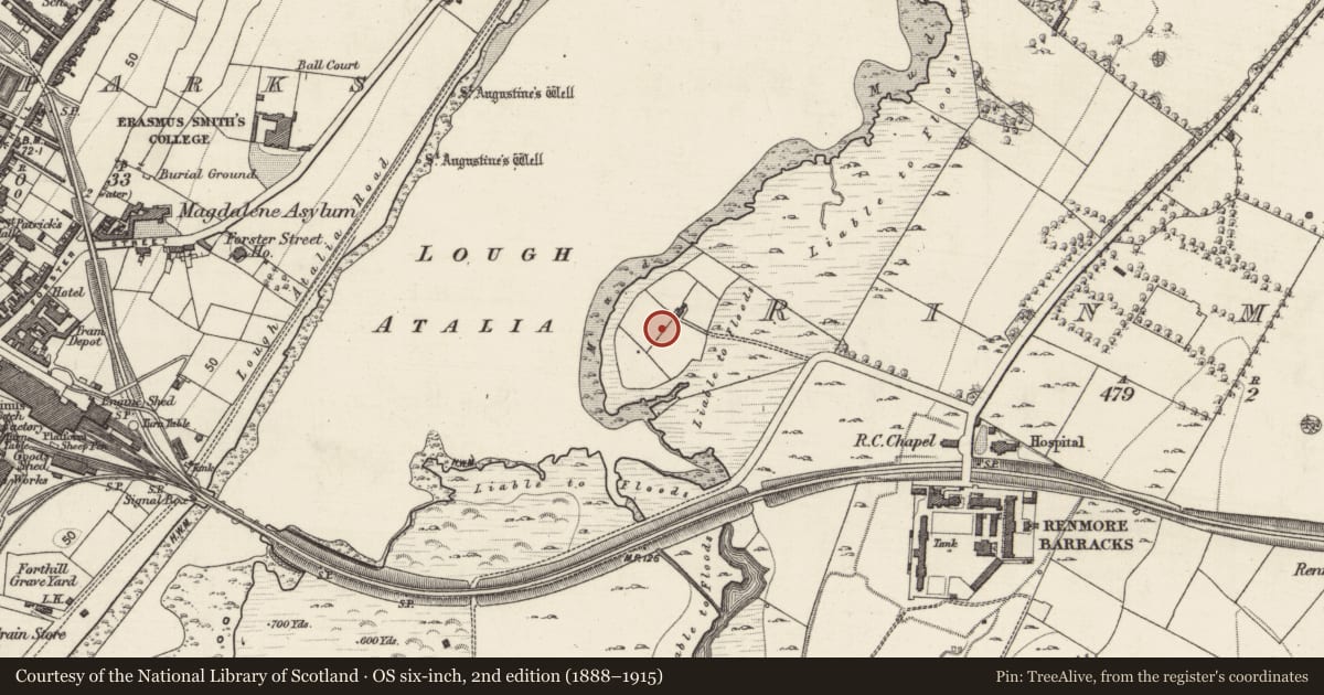 Ordnance Survey six-inch map, 2nd edition (1888–1915) covering the location of Field boundary, Rinmore, County Galway, with a pin at the register's coordinates