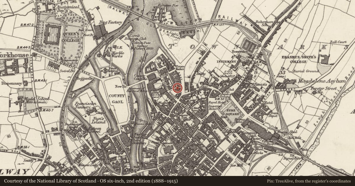 Ordnance Survey six-inch map, 2nd edition (1888–1915) covering the location of Structure, Townparks (Galway By., St. Nicholas Par.), County Galway, with a pin at the register's coordinates