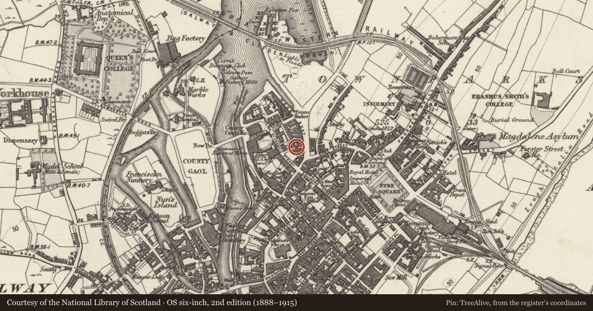 Ordnance Survey six-inch map, 2nd edition (1888–1915) covering the location of Architectural fragment, Townparks (Galway By., St. Nicholas Par.), County Galway, with a pin at the register's coordinates