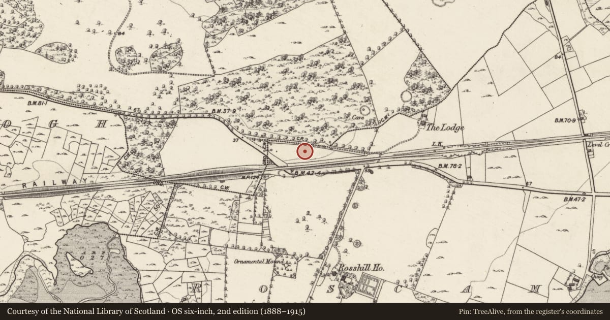 Ordnance Survey six-inch map, 2nd edition (1888–1915) covering the location of Enclosure, Roscam, County Galway, with a pin at the register's coordinates