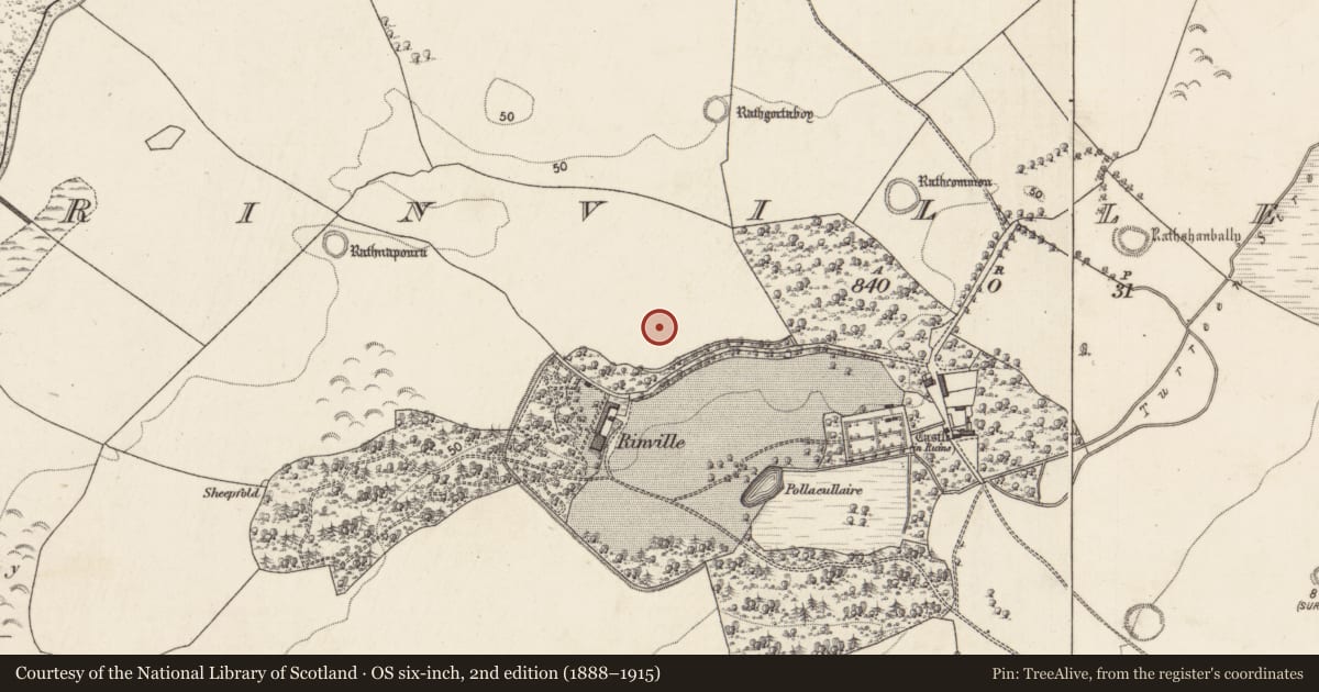 Ordnance Survey six-inch map, 2nd edition (1888–1915) covering the location of Souterrain, Rinville West, County Galway, with a pin at the register's coordinates