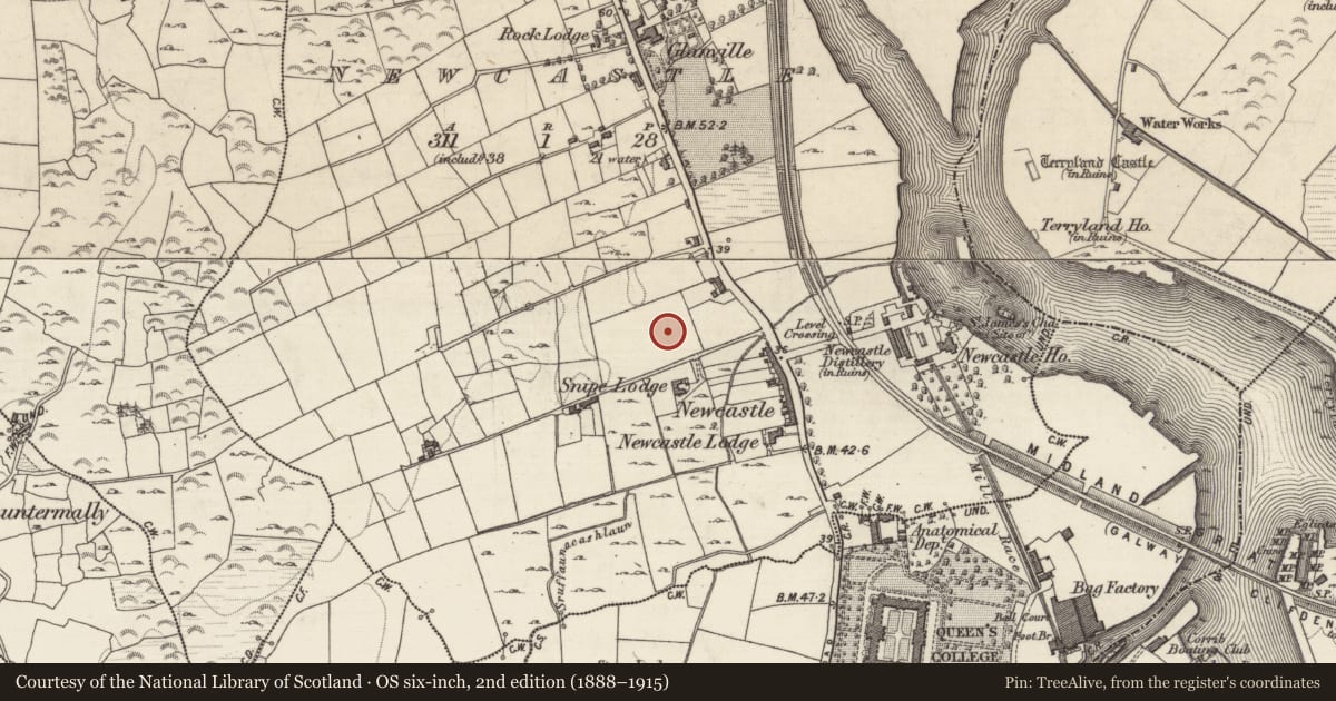 Ordnance Survey six-inch map, 2nd edition (1888–1915) covering the location of Architectural fragment, Newcastle (Rahoon Par.), County Galway, with a pin at the register's coordinates
