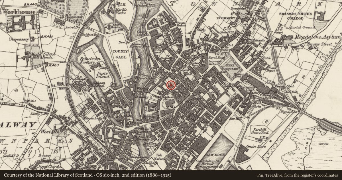 Ordnance Survey six-inch map, 2nd edition (1888–1915) covering the location of Armorial plaque (present location), Townparks (Galway By., St. Nicholas Par.), County Galway, with a pin at the register's coordinates