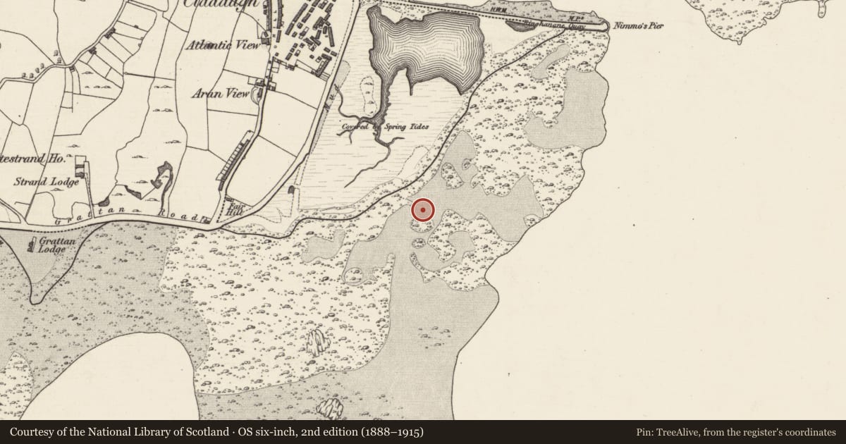 Ordnance Survey six-inch map, 2nd edition (1888–1915) covering the location of Monumental structure, Galway Bay, County Galway, with a pin at the register's coordinates