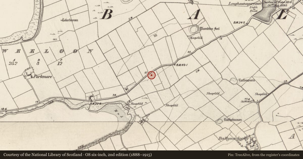 Ordnance Survey six-inch map, 2nd edition (1888–1915) covering the location of Ringfort - rath, Prospecthill, County Galway, with a pin at the register's coordinates