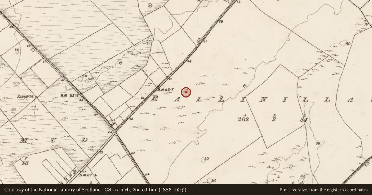 Ordnance Survey six-inch map, 2nd edition (1888–1915) covering the location of Ringfort - cashel, Ballinillaun, County Galway, with a pin at the register's coordinates