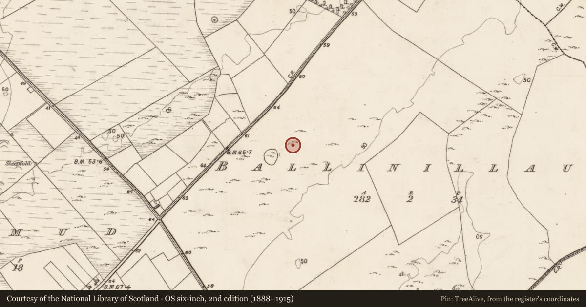 Ordnance Survey six-inch map, 2nd edition (1888–1915) covering the location of Souterrain, Ballinillaun, County Galway, with a pin at the register's coordinates
