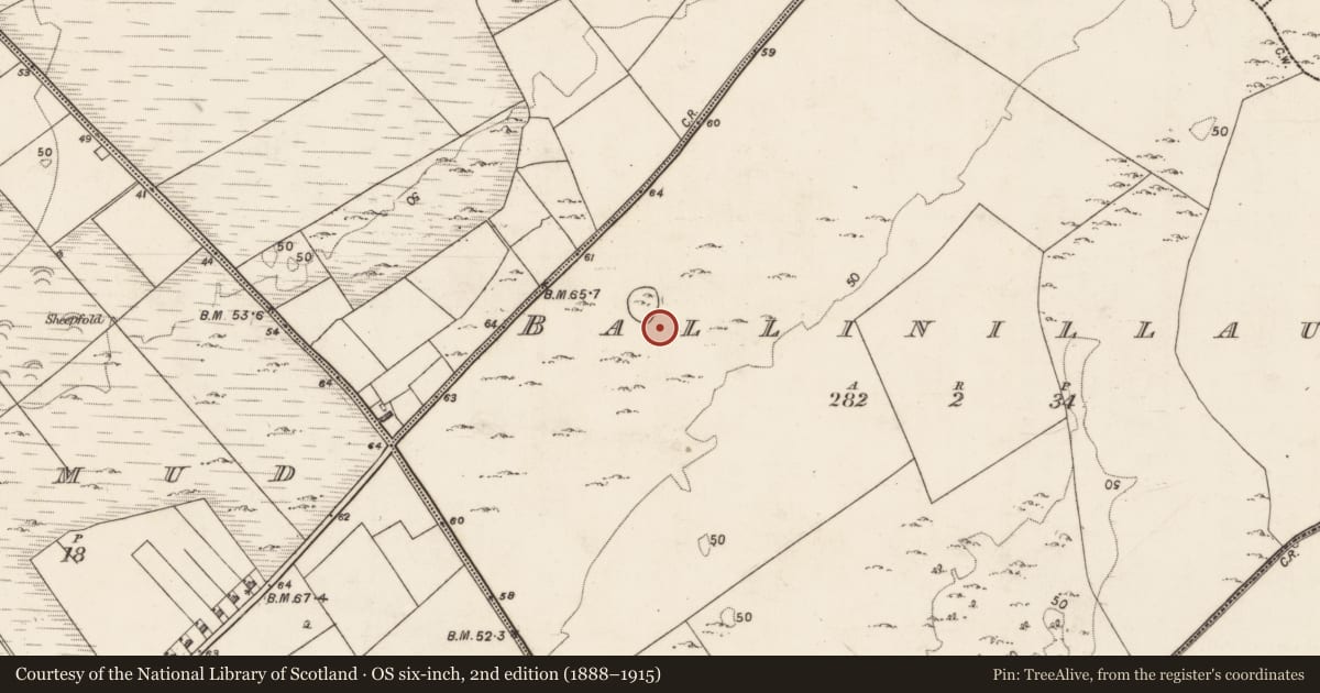 Ordnance Survey six-inch map, 2nd edition (1888–1915) covering the location of House - indeterminate date, Ballinillaun, County Galway, with a pin at the register's coordinates