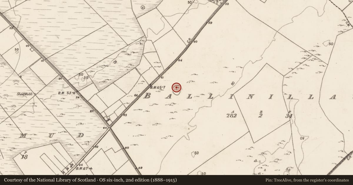 Ordnance Survey six-inch map, 2nd edition (1888–1915) covering the location of House - indeterminate date, Ballinillaun, County Galway, with a pin at the register's coordinates