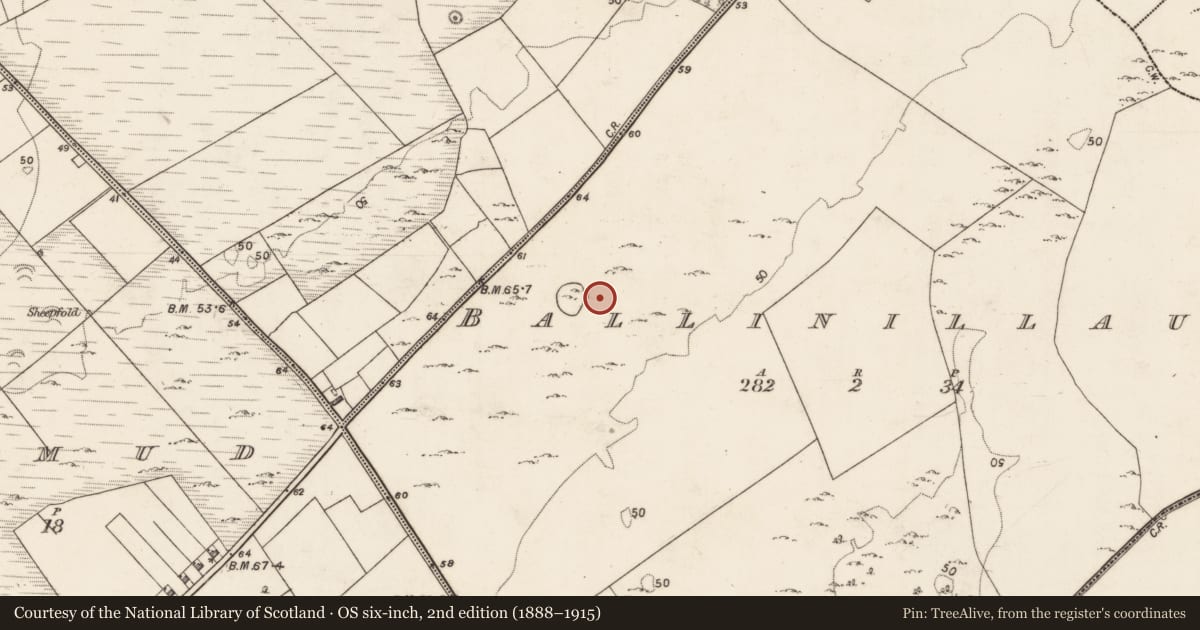 Ordnance Survey six-inch map, 2nd edition (1888–1915) covering the location of House - indeterminate date, Ballinillaun, County Galway, with a pin at the register's coordinates