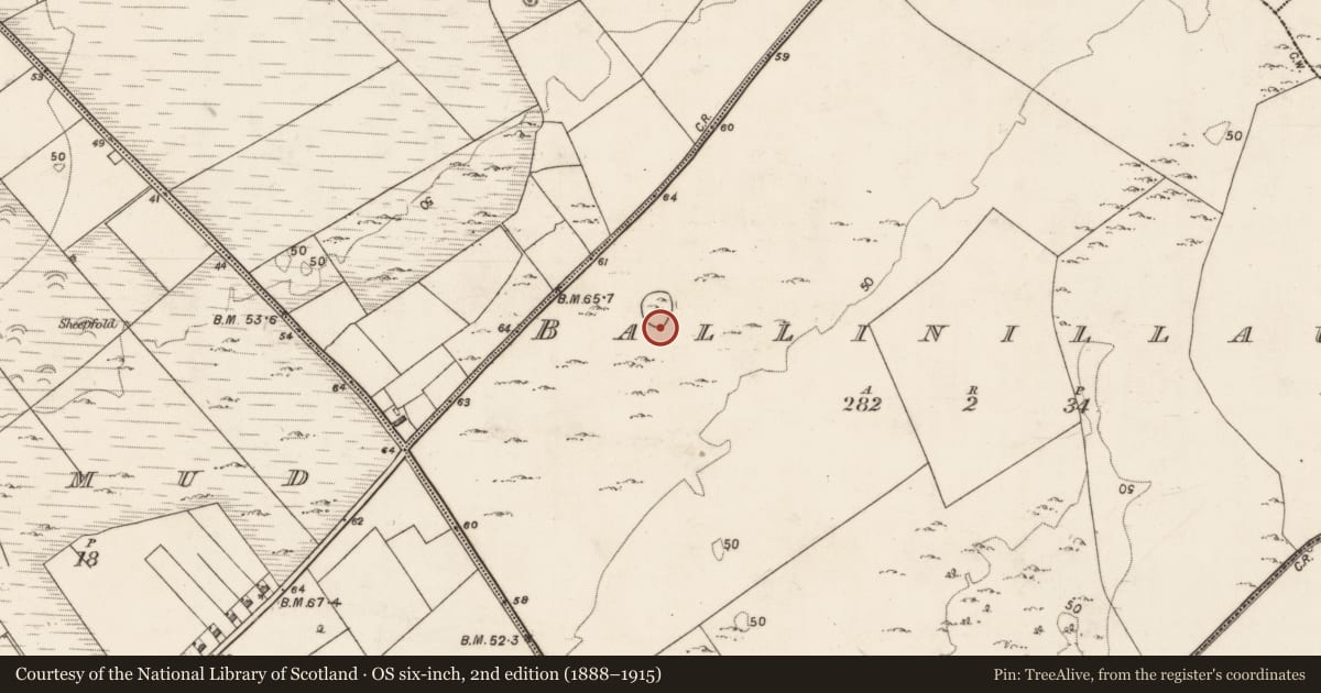 Ordnance Survey six-inch map, 2nd edition (1888–1915) covering the location of House - indeterminate date, Ballinillaun, County Galway, with a pin at the register's coordinates