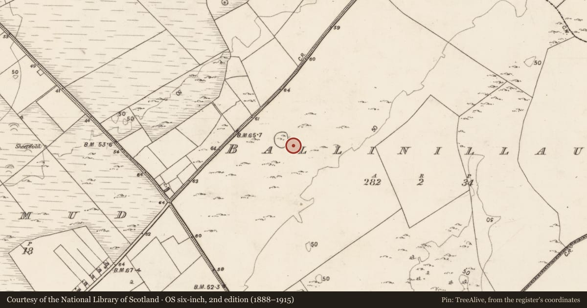 Ordnance Survey six-inch map, 2nd edition (1888–1915) covering the location of Field system, Ballinillaun, County Galway, with a pin at the register's coordinates
