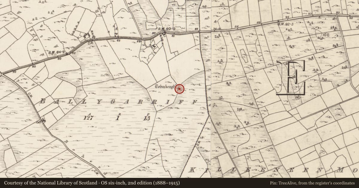 Ordnance Survey six-inch map, 2nd edition (1888–1915) covering the location of Well, Ballygarriff, County Galway, with a pin at the register's coordinates