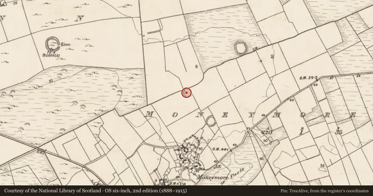 Ordnance Survey six-inch map, 2nd edition (1888–1915) covering the location of Ringfort - cashel, Ballynageeha, Moneymore East, County Galway, with a pin at the register's coordinates