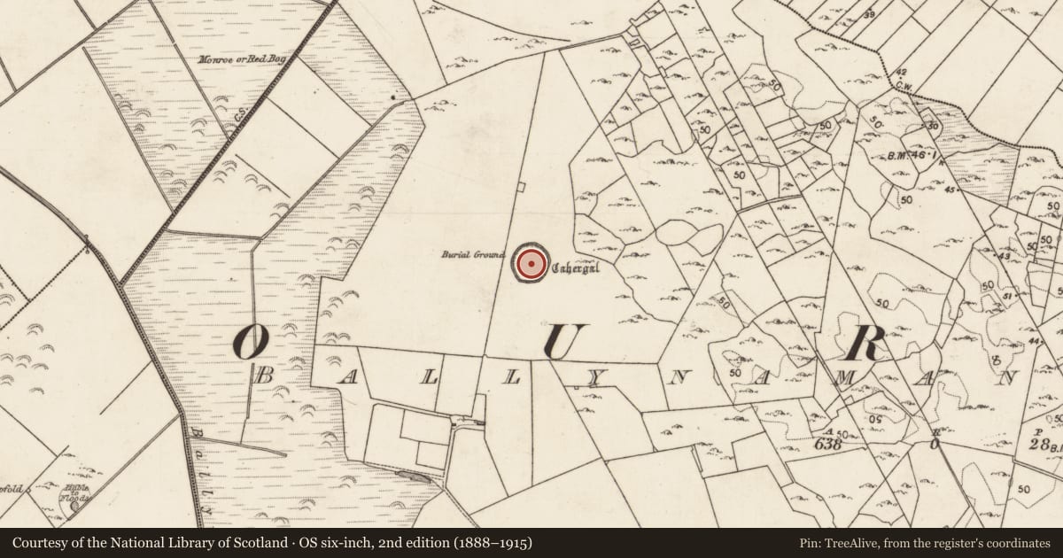Ordnance Survey six-inch map, 2nd edition (1888–1915) covering the location of Ringfort - cashel, Ballynamanagh East, County Galway, with a pin at the register's coordinates
