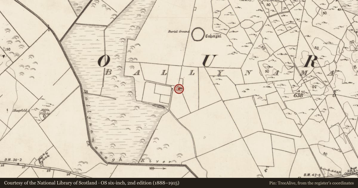 Ordnance Survey six-inch map, 2nd edition (1888–1915) covering the location of Enclosure, Ballynamanagh East, County Galway, with a pin at the register's coordinates