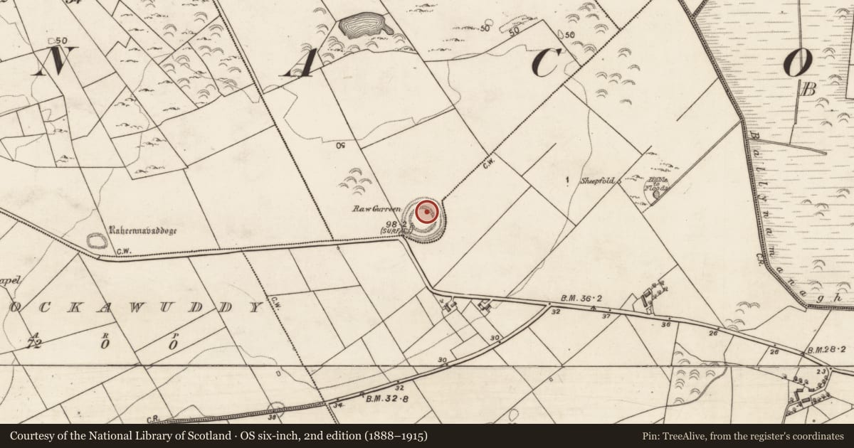 Ordnance Survey six-inch map, 2nd edition (1888–1915) covering the location of Souterrain, Cottage, County Galway, with a pin at the register's coordinates