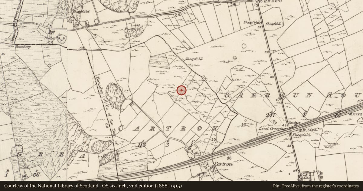 Ordnance Survey six-inch map, 2nd edition (1888–1915) covering the location of Ringfort - cashel, Cartron, County Galway, with a pin at the register's coordinates