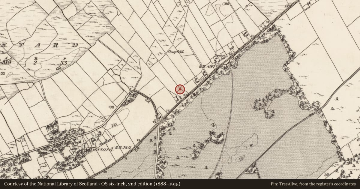 Ordnance Survey six-inch map, 2nd edition (1888–1915) covering the location of Souterrain, Cloghalahard, County Galway, with a pin at the register's coordinates