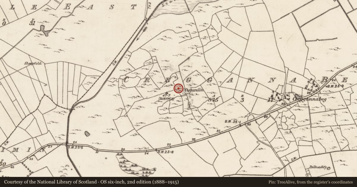 Ordnance Survey six-inch map, 2nd edition (1888–1915) covering the location of Ringfort - cashel, Cregganna Beg, County Galway, with a pin at the register's coordinates