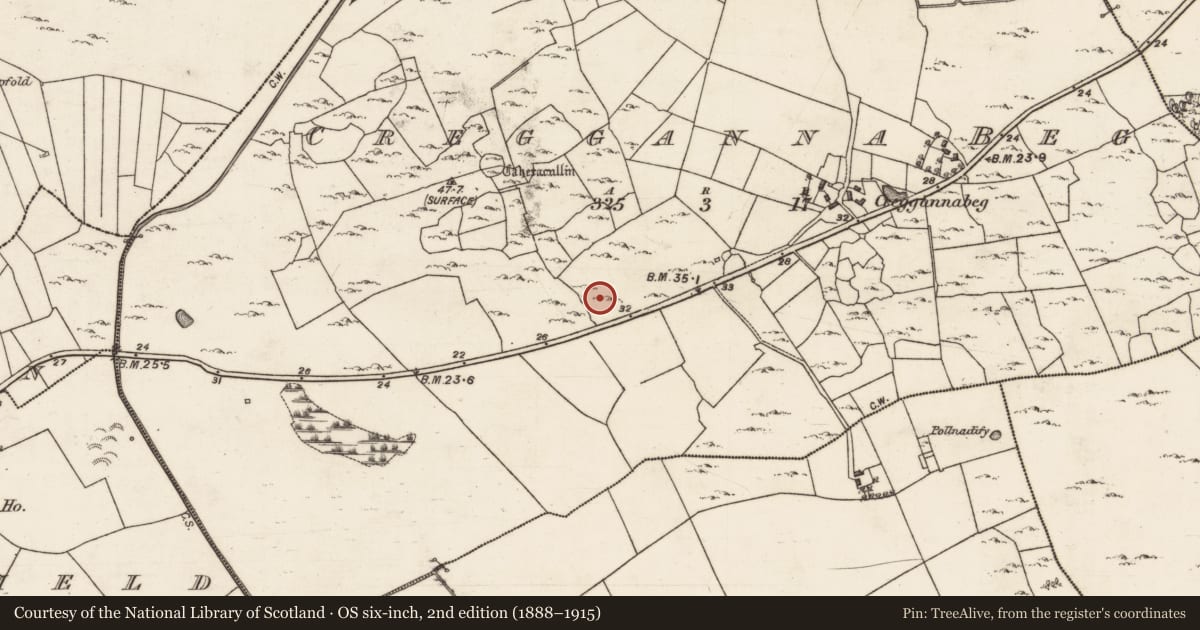 Ordnance Survey six-inch map, 2nd edition (1888–1915) covering the location of Ringfort - cashel, Cregganna Beg, County Galway, with a pin at the register's coordinates