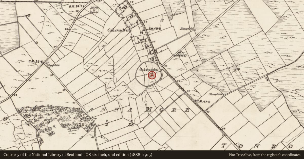 Ordnance Survey six-inch map, 2nd edition (1888–1915) covering the location of Church, Cregganna More, County Galway, with a pin at the register's coordinates